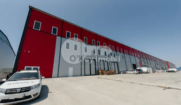 Depozit, Botanica, DACIA