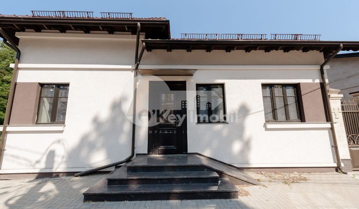 Spațiu comercial, Centru, ALEXANDRU LĂPUȘNEANU