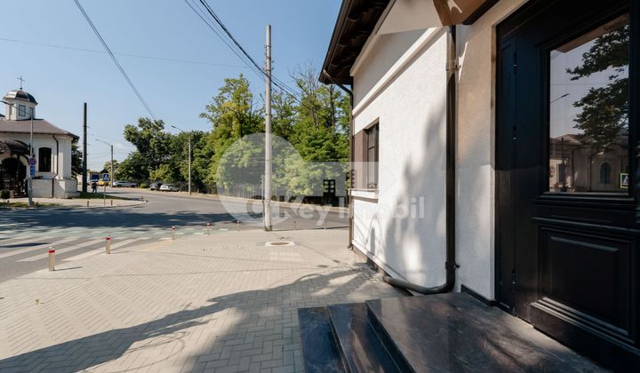 Spațiu comercial, Centru, ALEXANDRU LĂPUȘNEANU