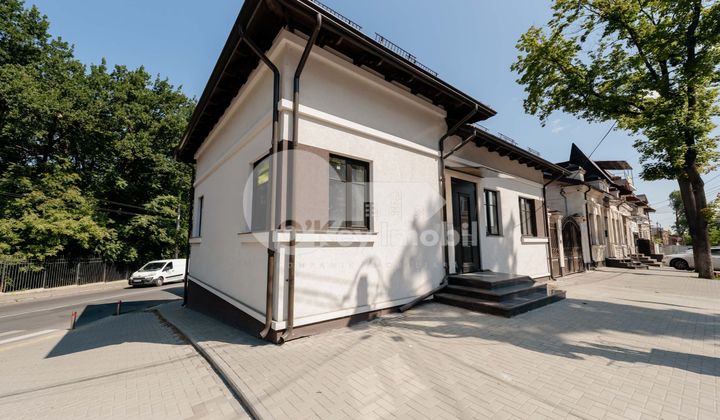 Spațiu comercial, Centru, ALEXANDRU LĂPUȘNEANU