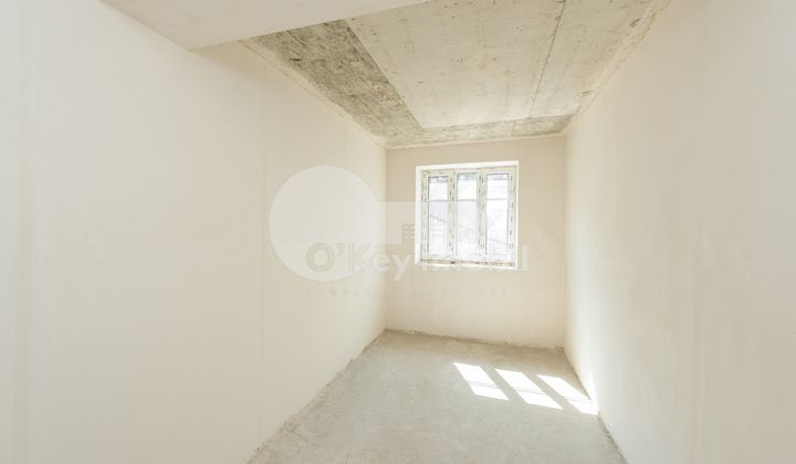 Spațiu comercial, Centru, ALEXANDRU LĂPUȘNEANU