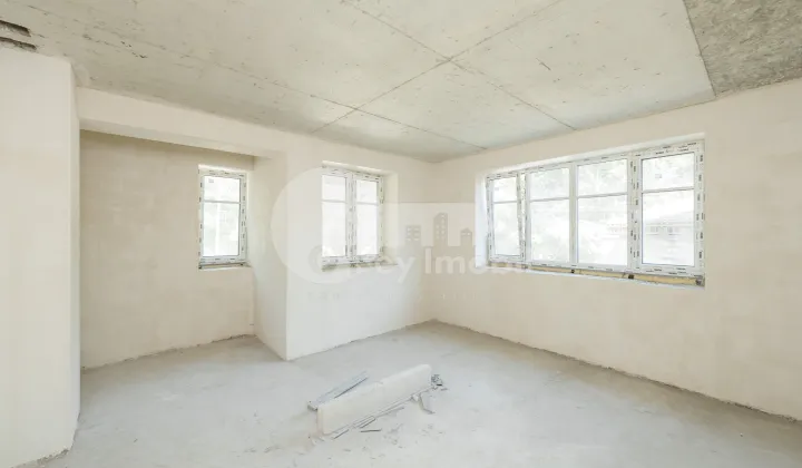 Spațiu comercial, Centru, ALEXANDRU LĂPUȘNEANU