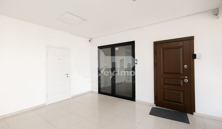 Офис, Ботаника, ДЕЧЕБАЛ