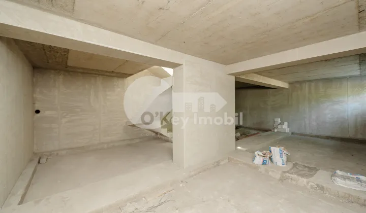 Spațiu comercial, Centru, ALEXANDRU LĂPUȘNEANU