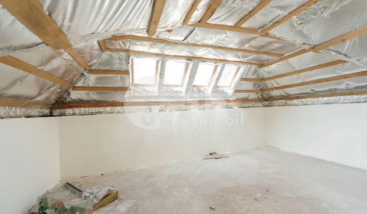 Spațiu comercial, Centru, ALEXANDRU LĂPUȘNEANU