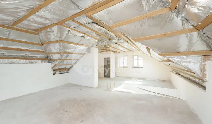 Spațiu comercial, Centru, ALEXANDRU LĂPUȘNEANU