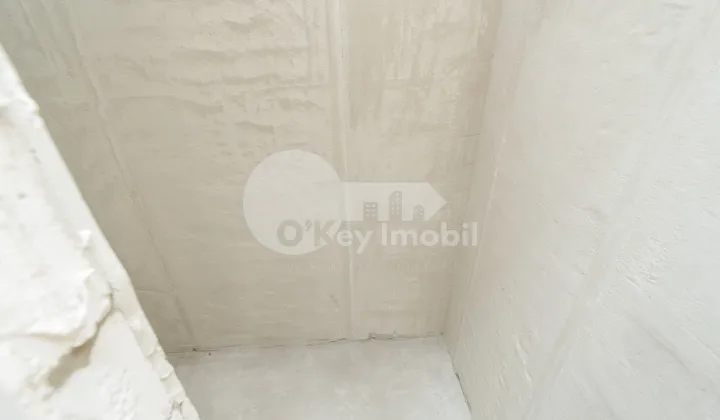 Spațiu comercial, Centru, ALEXANDRU LĂPUȘNEANU