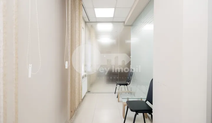 Офис, Ботаника, ДЕЧЕБАЛ