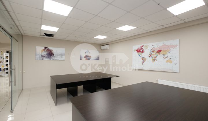 Офис, Ботаника, ДЕЧЕБАЛ