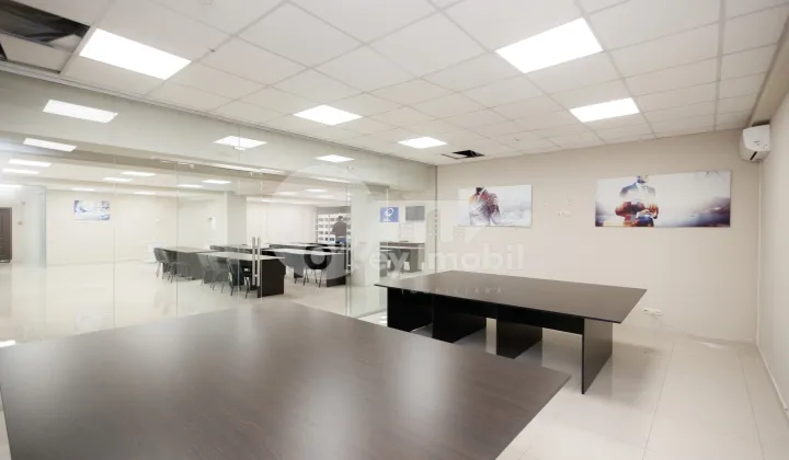 Офис, Ботаника, ДЕЧЕБАЛ