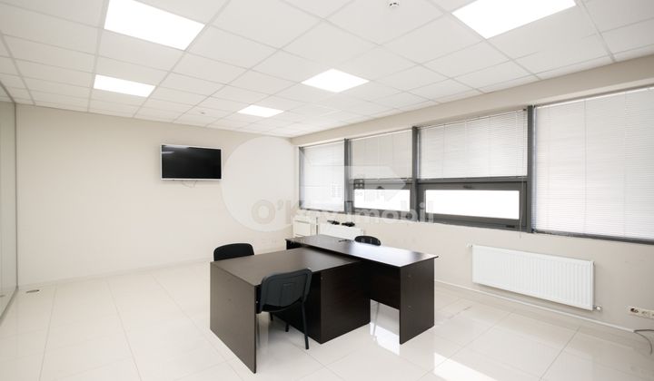 Офис, Ботаника, ДЕЧЕБАЛ