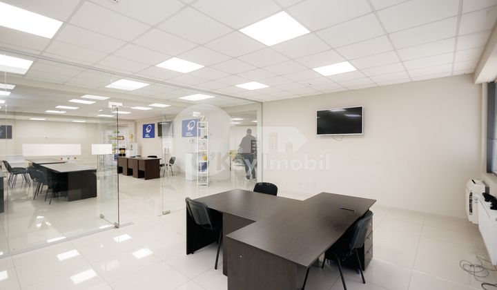 Офис, Ботаника, ДЕЧЕБАЛ