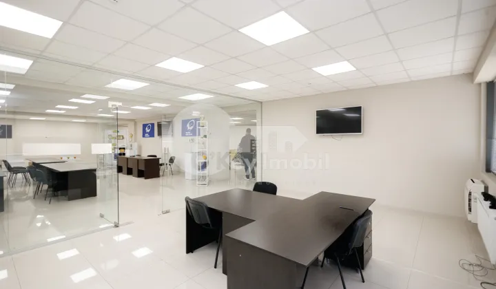 Офис, Ботаника, ДЕЧЕБАЛ