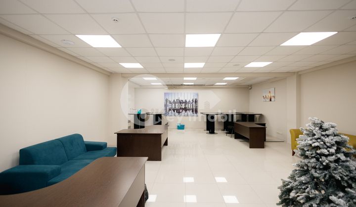 Офис, Ботаника, ДЕЧЕБАЛ