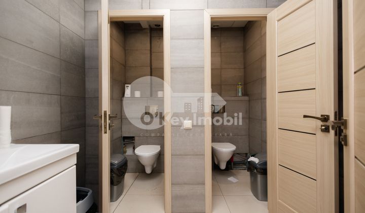 Офис, Ботаника, ДЕЧЕБАЛ