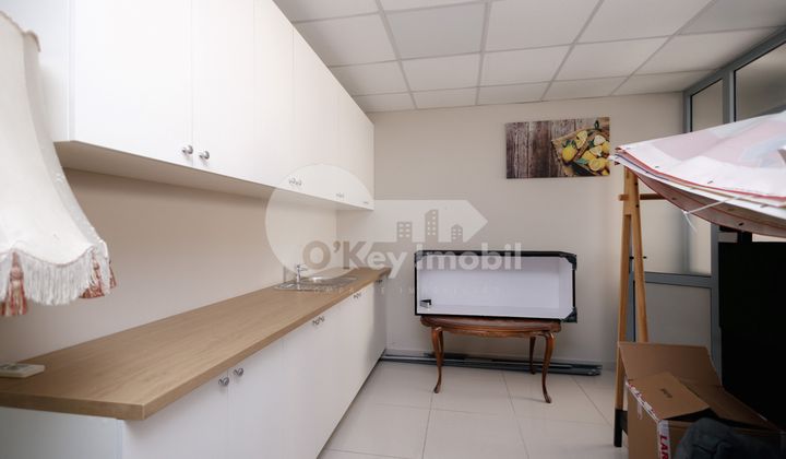 Офис, Ботаника, ДЕЧЕБАЛ