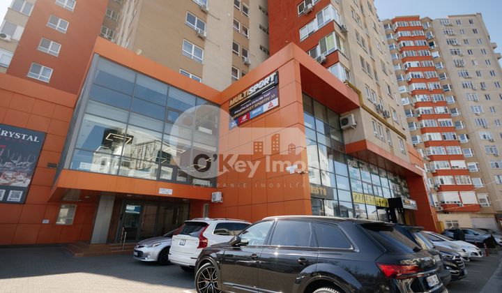 Офис, Ботаника, ДЕЧЕБАЛ