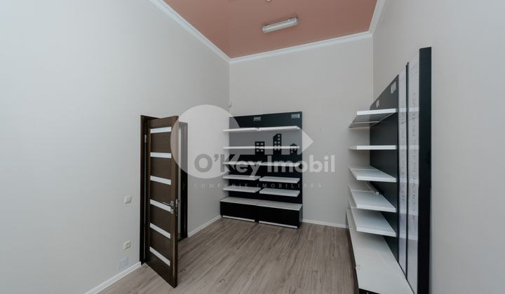 Комм. помещение, Центр, ШТЕФАН ЧЕЛ МАРЕ