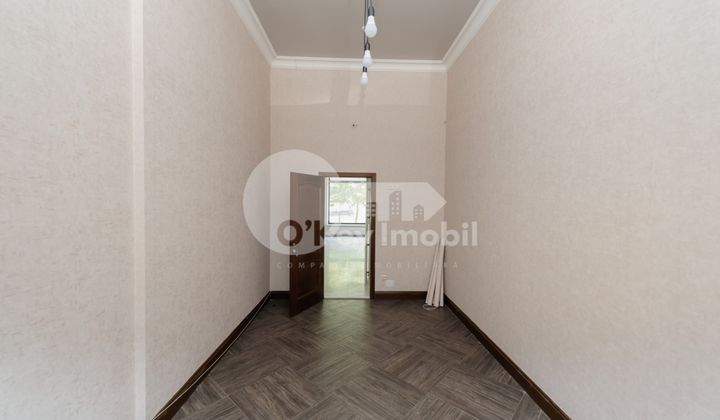 Комм. помещение, Центр, ШТЕФАН ЧЕЛ МАРЕ