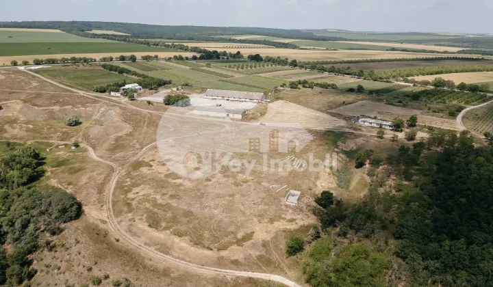 Земельный участок, ВЫШКАУЦЫ