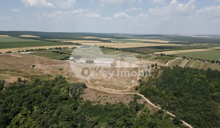 Земельный участок, ВЫШКАУЦЫ