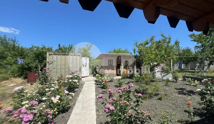 Дом, ДЭНЧЕНЬ