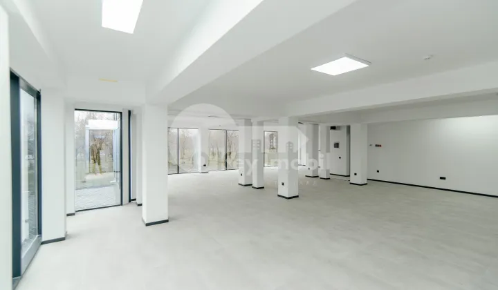 Oficiu, Botanica, DACIA