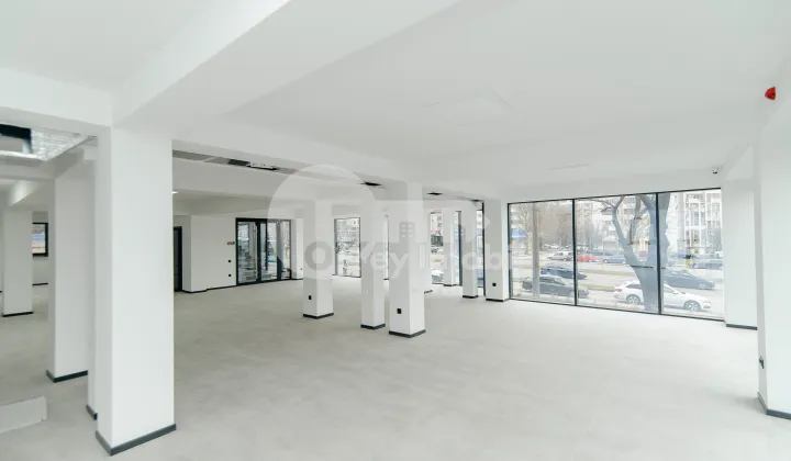 Oficiu, Botanica, DACIA