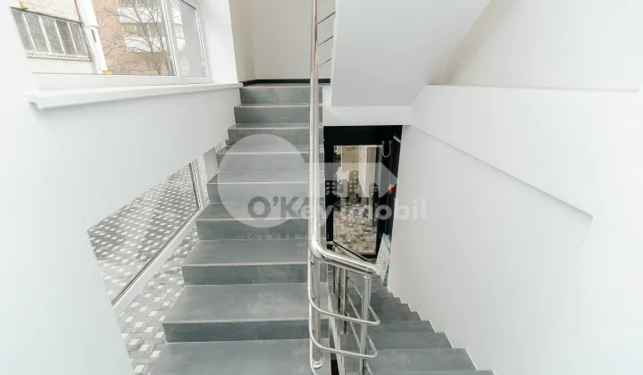 Oficiu, Botanica, DACIA