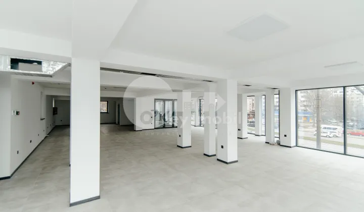 Oficiu, Botanica, DACIA