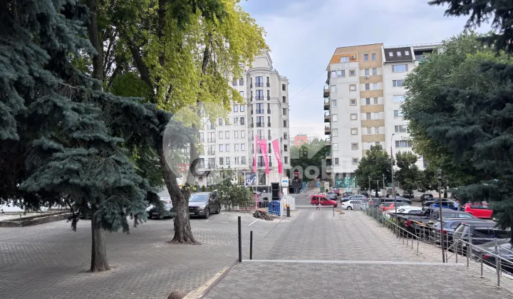 Spațiu comercial, Centru, ALEXANDR PUȘKIN
