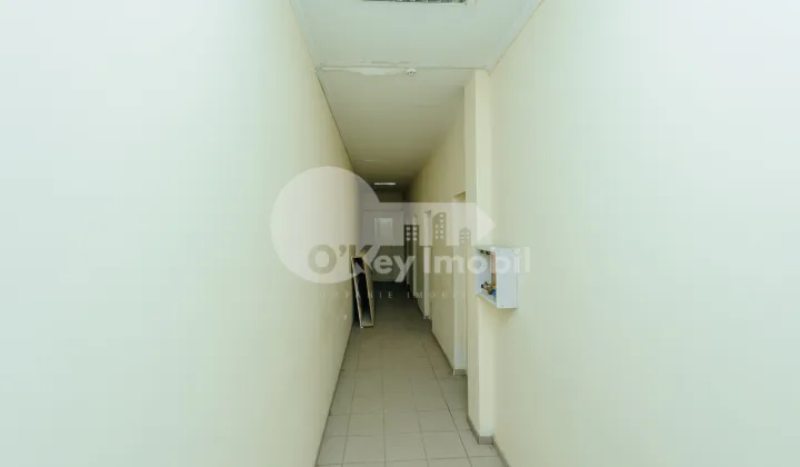 Spațiu comercial, Centru, BĂNULESCU BODONI