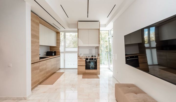 Penthouse, Centru, TIMIȘ