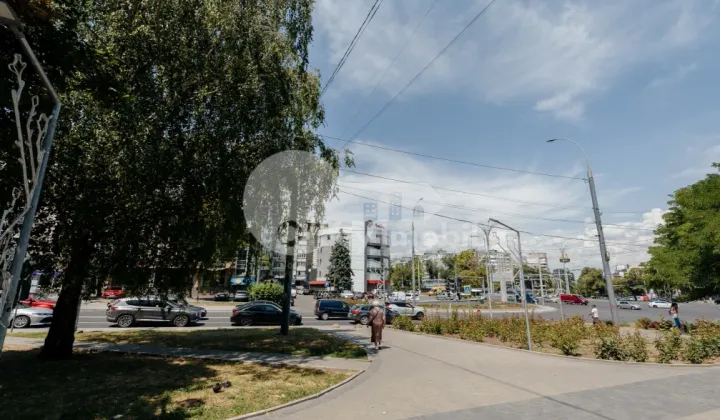 Spațiu comercial, Botanica, DACIA