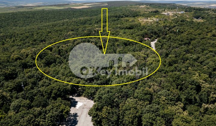 Земельный участок, ЯЛОВЕНЫ