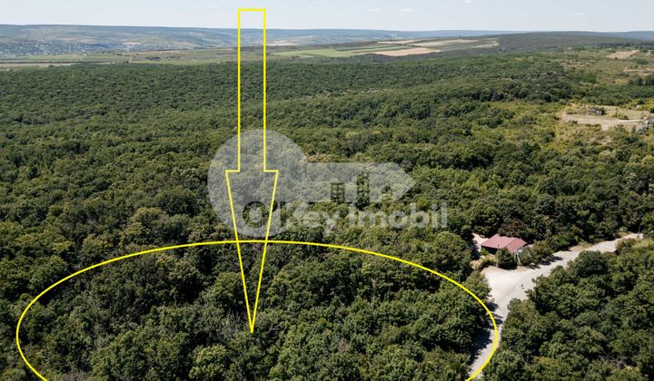 Земельный участок, ЯЛОВЕНЫ