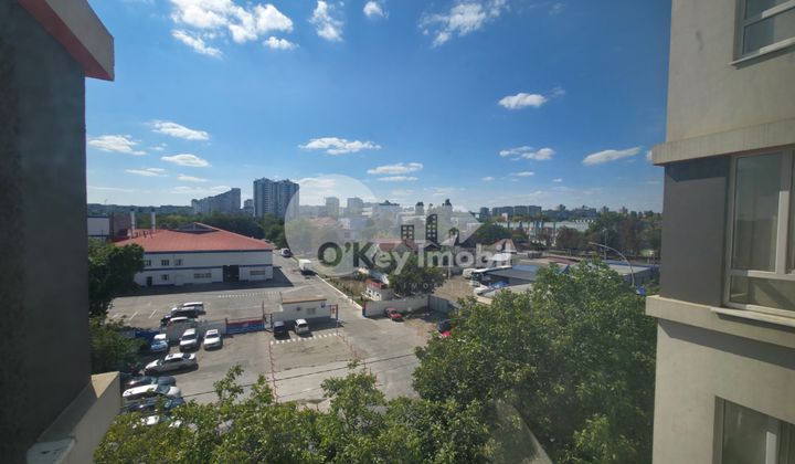 Квартира, Ботаника, САРМИЗЕДЖЕТУСА