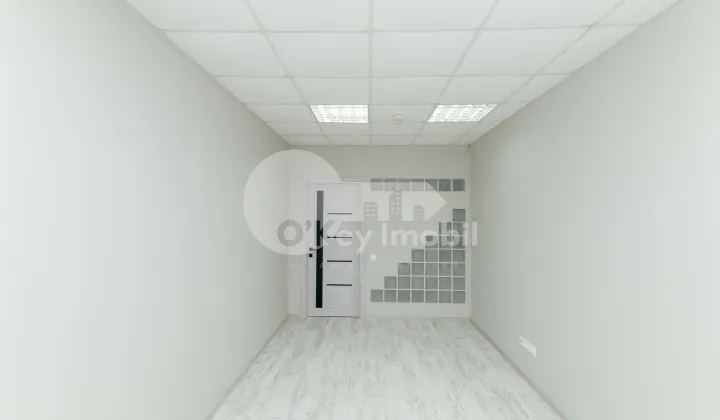 Oficiu, Centru, PETRU MOVILĂ