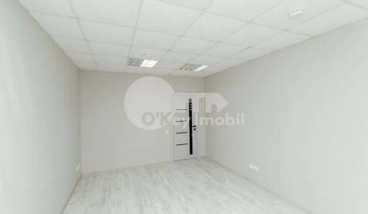 Oficiu, Centru, PETRU MOVILĂ