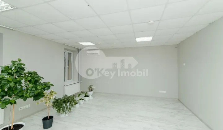 Oficiu, Centru, PETRU MOVILĂ