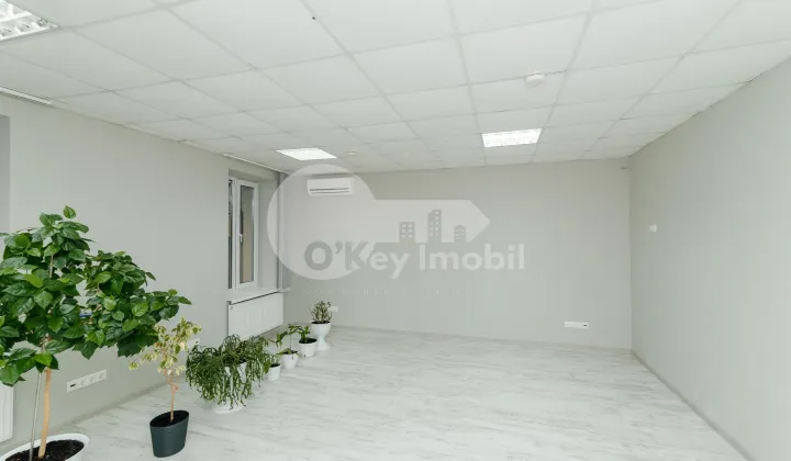 Oficiu, Centru, PETRU MOVILĂ