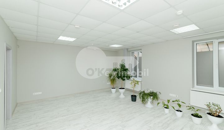 Офис, Центр, ПЕТРУ МОВИЛЭ