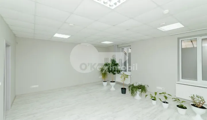 Oficiu, Centru, PETRU MOVILĂ