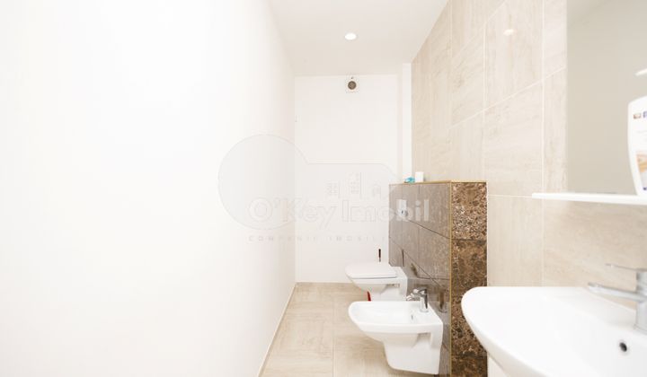 Квартира, Центр, Н. ТЕСТЕМИЦАНУ