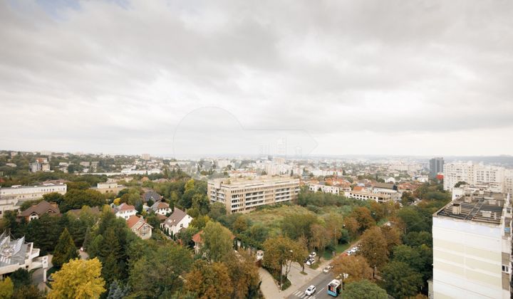 Квартира, Центр, Н. ТЕСТЕМИЦАНУ