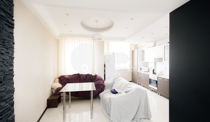 Квартира, Центр, Н. ТЕСТЕМИЦАНУ