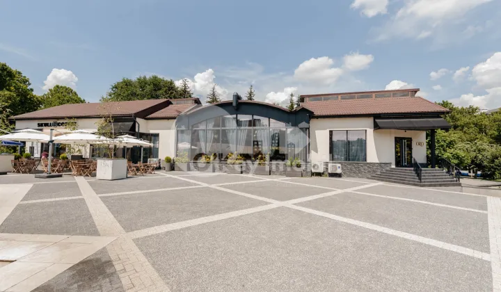 Офис, Ботаника, ДЕЧЕБАЛ