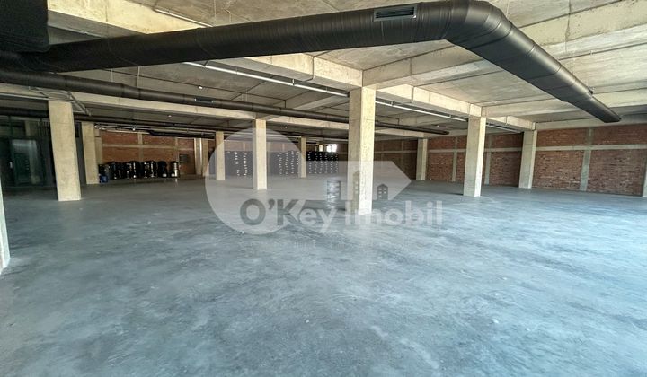 Комм. помещение, Чеканы, УЗИНЕЛОР