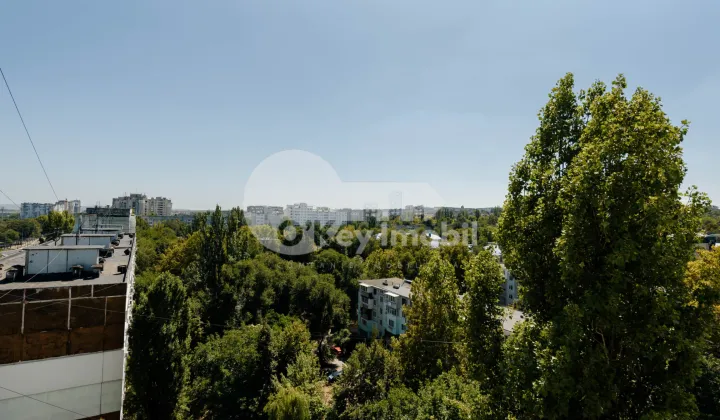 Квартира, Ботаника, ДАЧИЯ