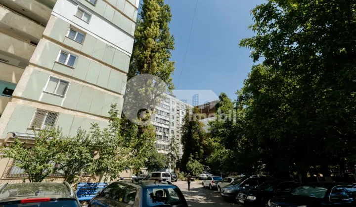 Квартира, Ботаника, ДАЧИЯ